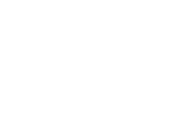 Bien Properties